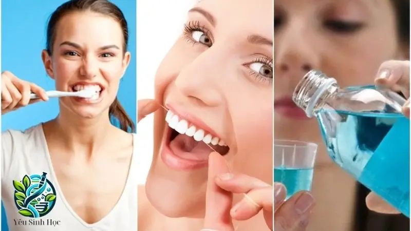 bảo vệ khoang miệng bảo vệ khoang miệng