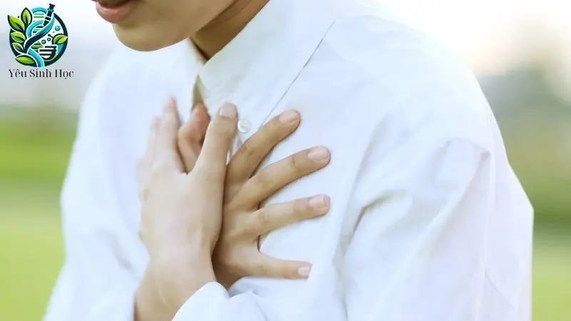 CẤU TẠO MẠCH MÁU