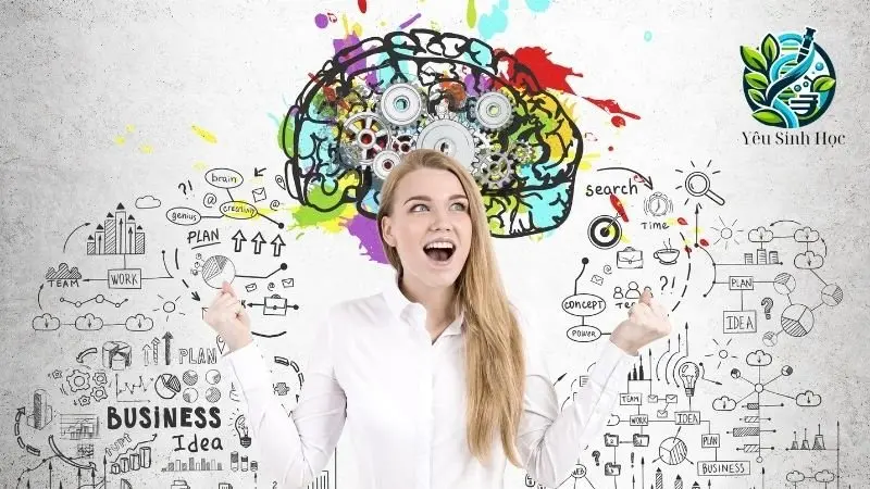 cấu tạo não bộ