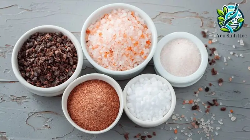Phân loại muối khoáng