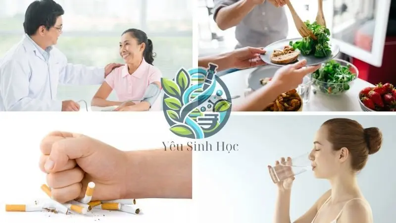 tiêu hoá ở ruột non tiêu hoá ở ruột non