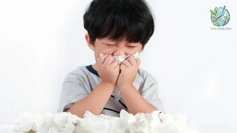 Nguyên nhân dẫn đến các phản ứng dị ứng Nguyên nhân dẫn đến các phản ứng dị ứng