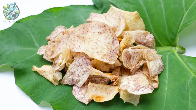 Công dụng trong y học cổ truyền 2