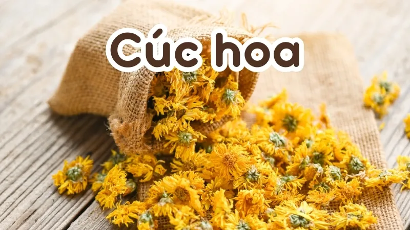 Sử dụng cúc hoa đúng cách để cải thiện giấc ngủ và giảm căng thẳng 