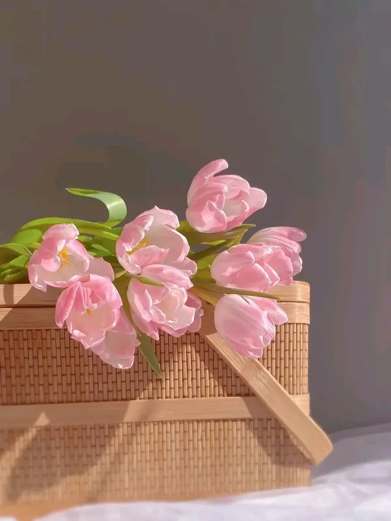 Ngắm nhìn ảnh hoa tulip sáng rực rỡ trong ánh nắng ban mai