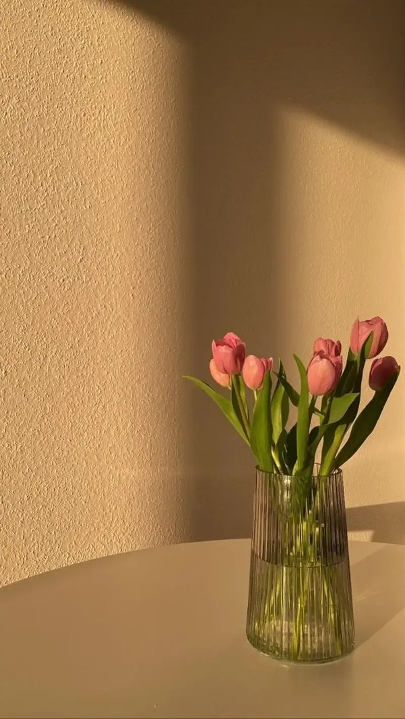 Tải ngay ảnh hoa tulip hình nền đẹp mắt cho điện thoại