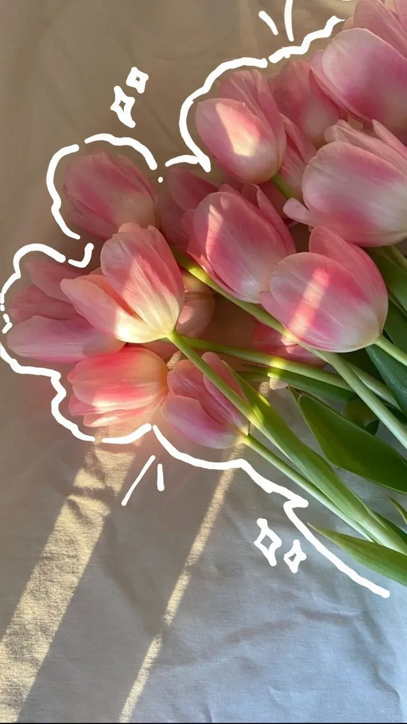 Cập nhật ngay ảnh hoa tulip đẹp nhất dành cho fan yêu hoa