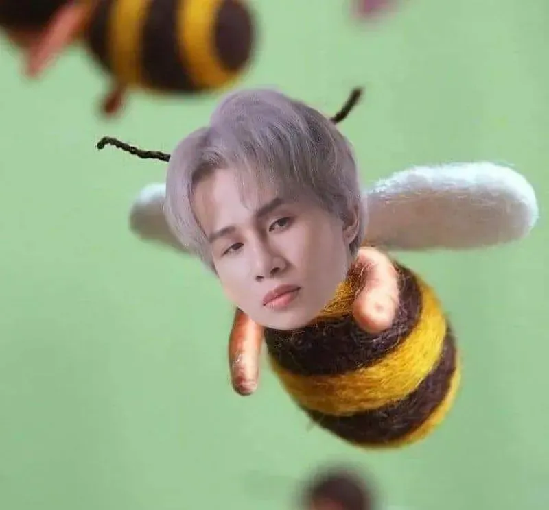 Những ảnh meme hài hước cute này chắc chắn sẽ khiến bạn thích thú