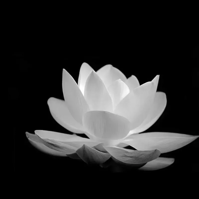 Khoảnh khắc tĩnh lặng của tâm hồn trong hình nền đen buồn cô đơn