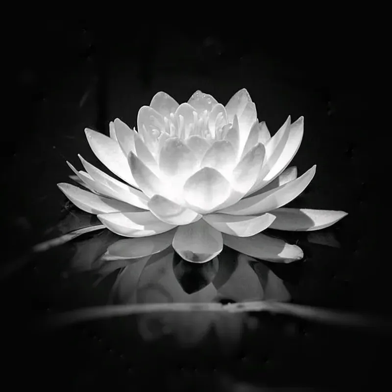 Tôn vinh ký ức với tải hình nền đen tang lễ trang nghiêm