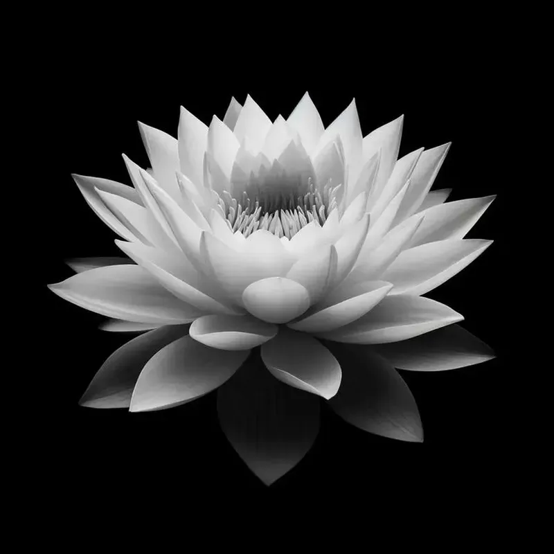 Đắm chìm trong nỗi cô đơn với hình nền đen buồn đầy cảm xúc