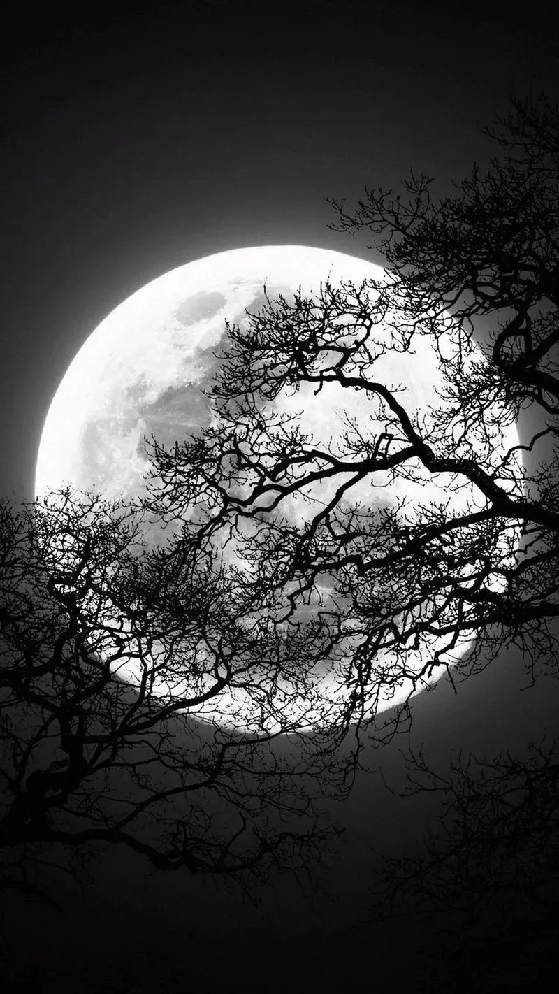 Hoài niệm và sâu lắng trong hình nền đen trắng buồn đầy cảm xúc