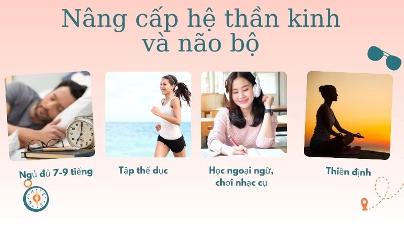 Làm sao để “nâng cấp” hệ thần kinh và não bộ mỗi ngày?