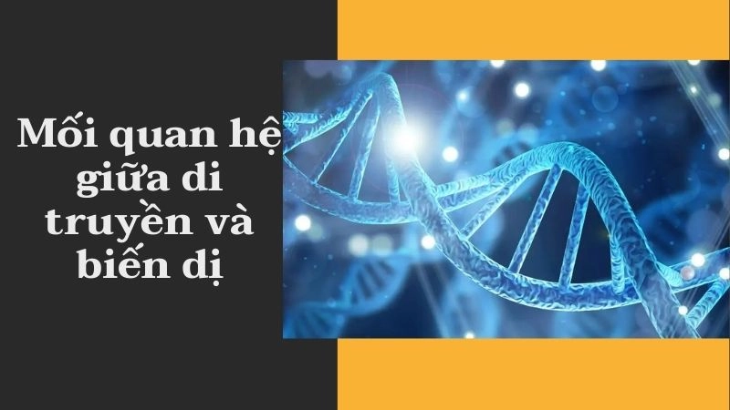 Mối quan hệ giữa di truyền và biến dị