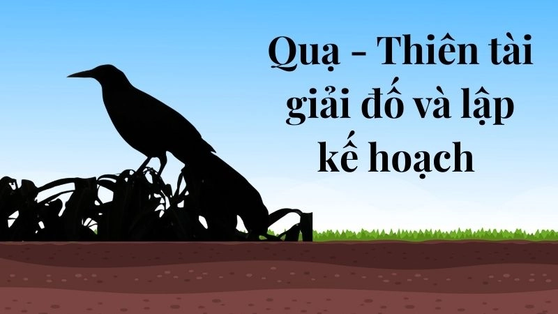 Quạ - Thiên tài giải đố và lập kế hoạch 