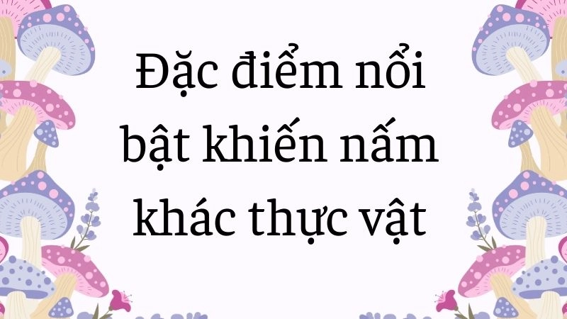 Đặc điểm nổi bật khiến nấm khác thực vật