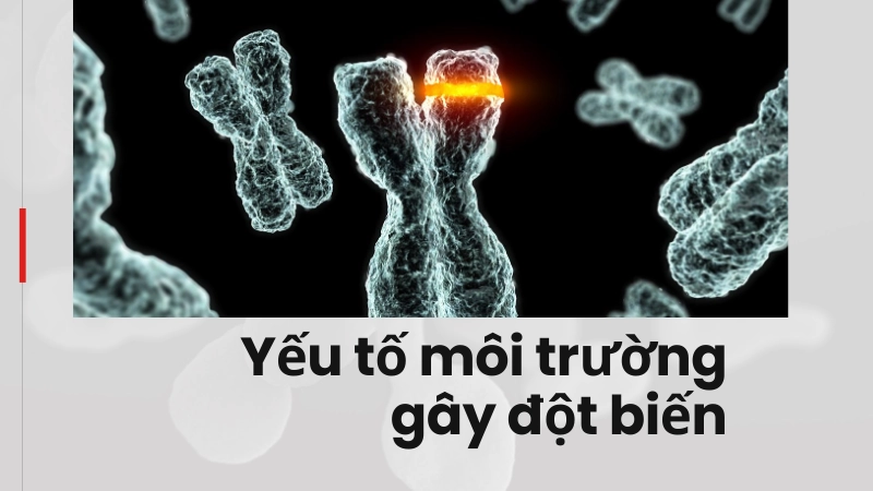 Yếu tố môi trường gây đột biến gen nguy hiểm
