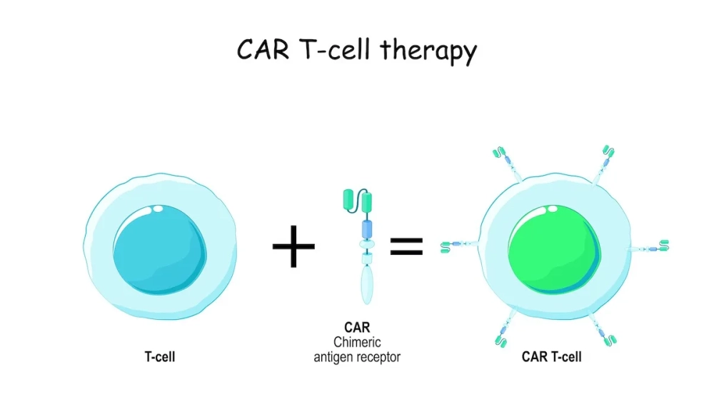 Tế bào miễn dịch T đang được biến đổi gen trong phòng thí nghiệm