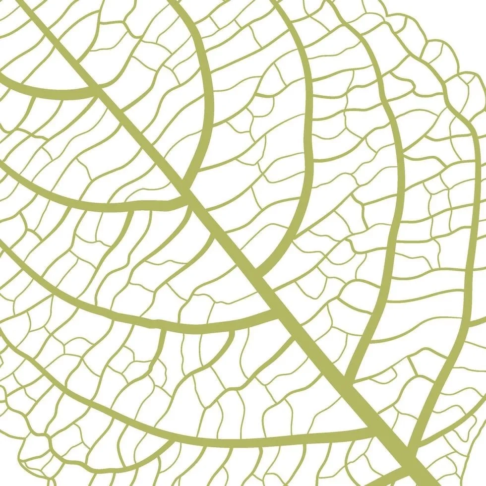 Cây lá gân với các đường nét nghệ thuật tự nhiên