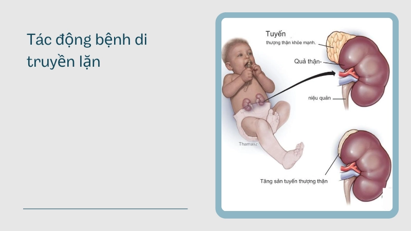 Bệnh di truyền lặn ảnh hưởng thế nào đến con cái?