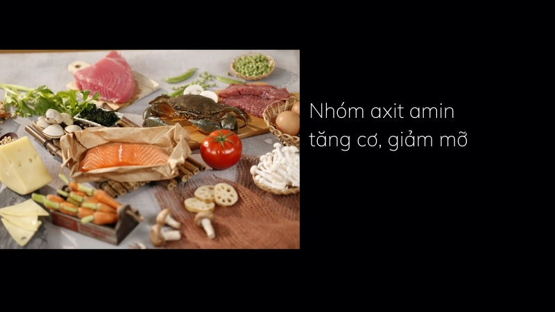 Nhóm axit amin giúp tăng cơ giảm mỡ nhanh