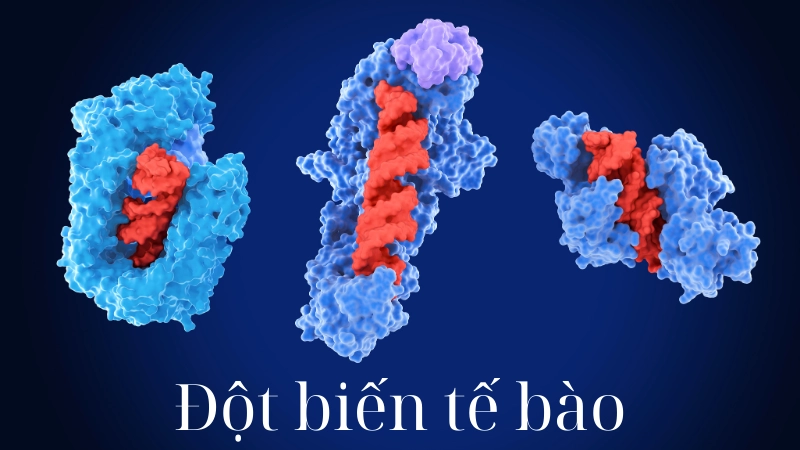 Công nghệ chỉnh sửa gene - Cú hích cho kỷ nguyên mới