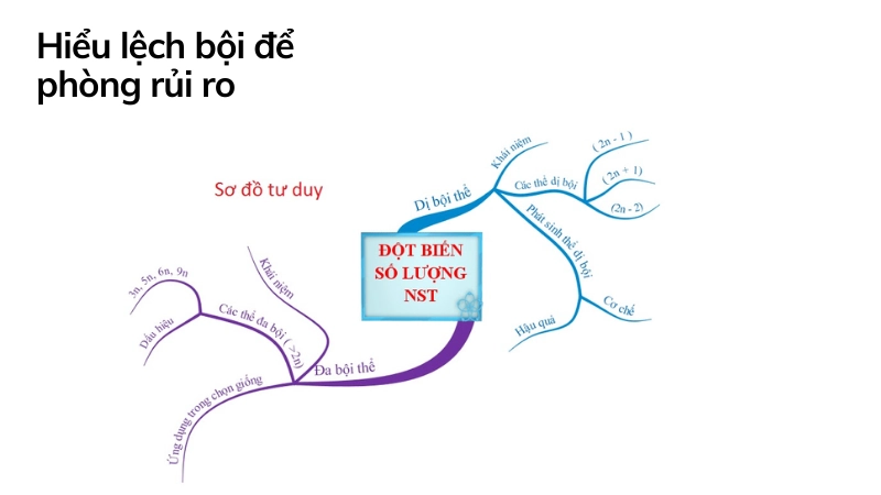 Hiểu rõ thể lệch bội là gì để tránh rủi ro